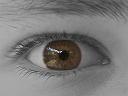 normale Wimpern