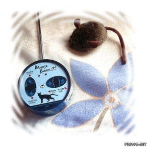 Mouse Racer