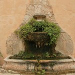 Im Garten kann man heißes Wasser auf die Ameisen kippen, um sie los zu werden